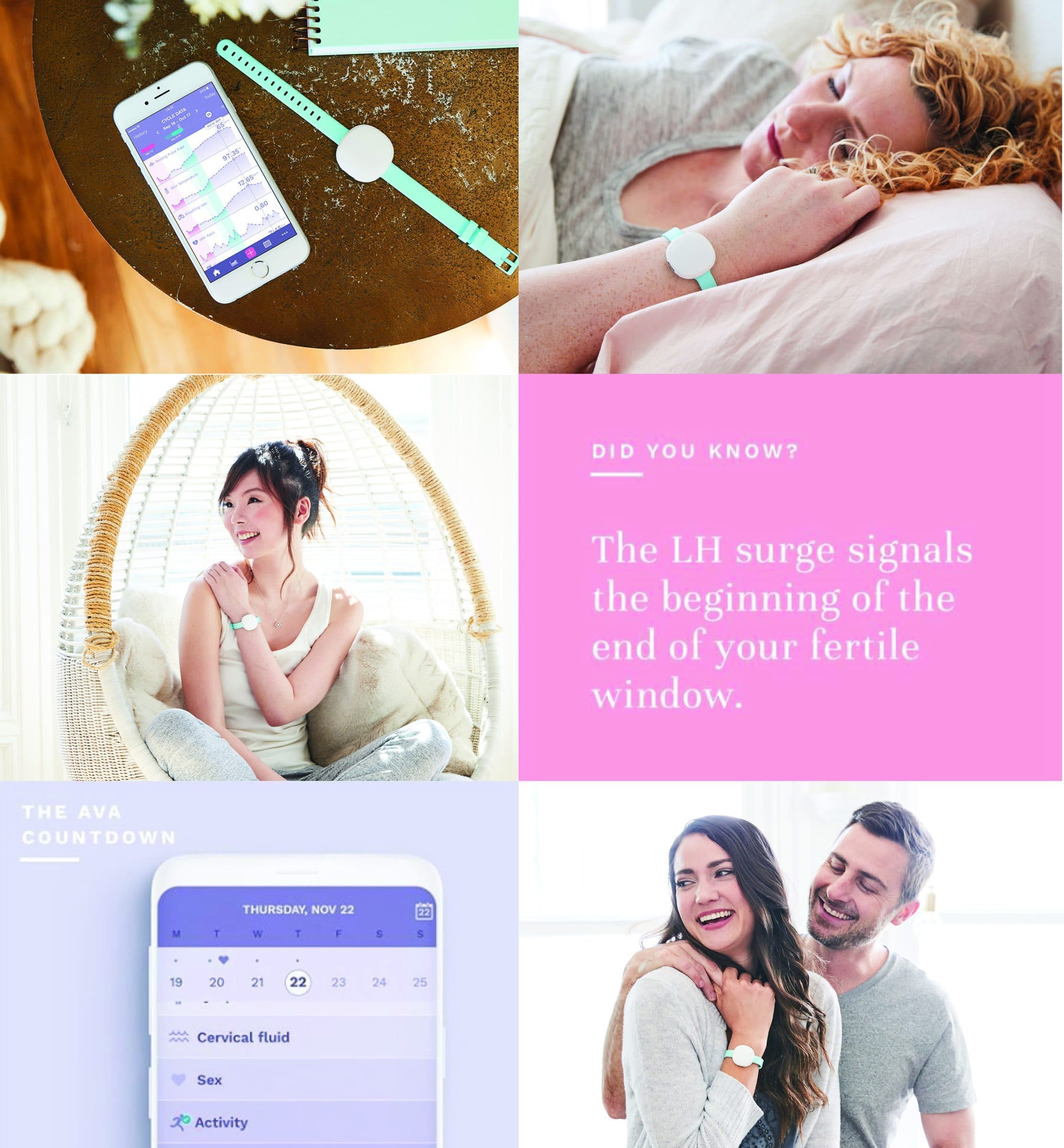 Ava brand campaign materials